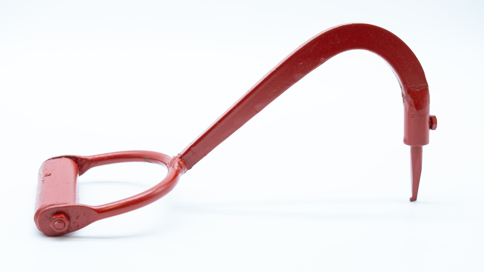 PULP HOOK WITH INTERCHANGEABLE POINT