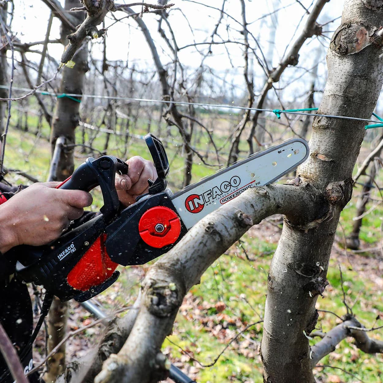 ACCESSOIRE DE SCIE À CHAÎNE INFACO PW3 - TÊTE ÉLAGUEUSE