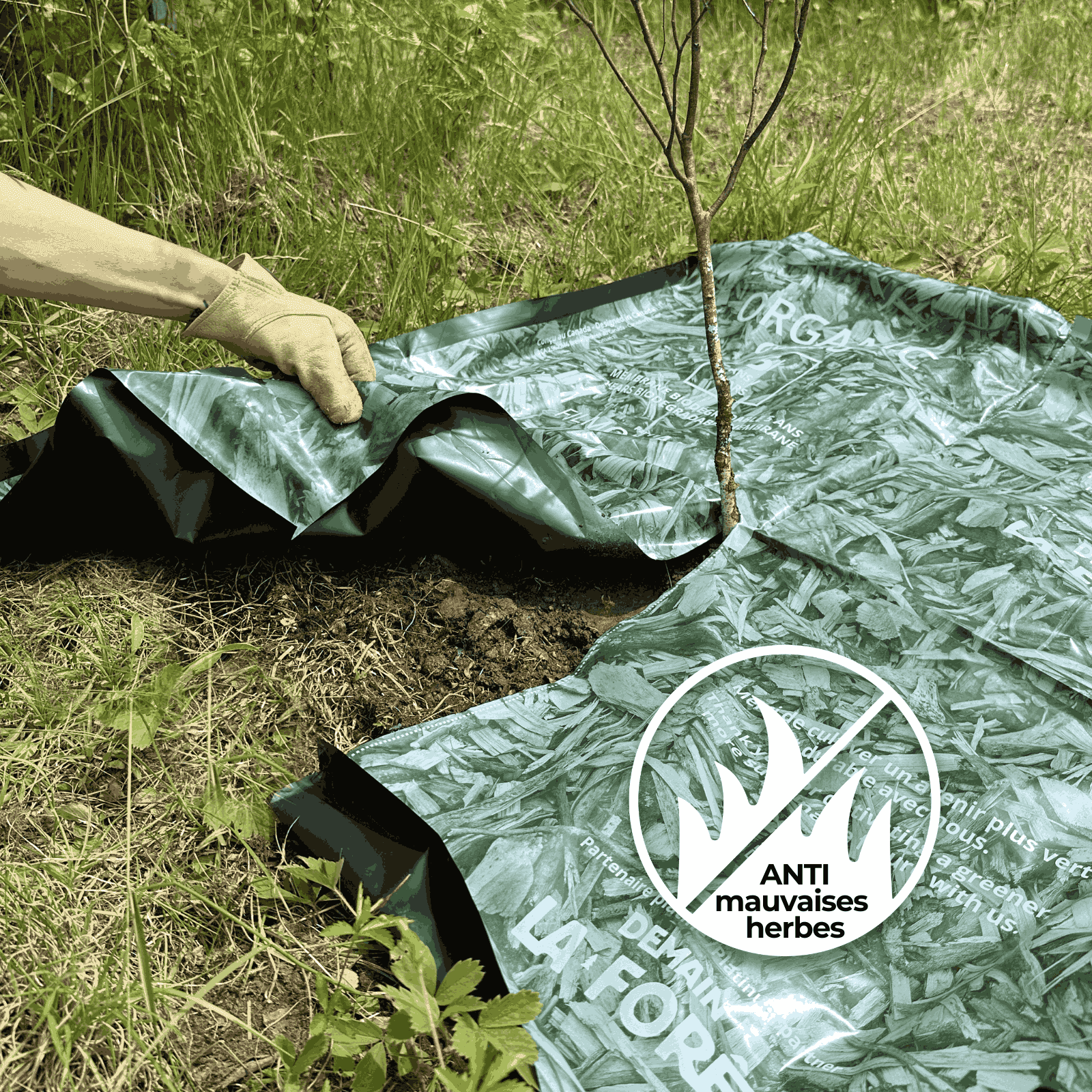 BIODEGRADABLE 3 YEARS MULCH MEMBRANE QTY 250 & UP